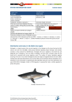 SPECIES INFORMATION SHEET Lamna nasus Distribution and