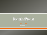 Bacteria/Protist - Science with Ms. C
