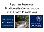 Riparian Reserves: Biodiversity Conservation in Oil Palm Plantations