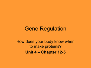 What happens to the repressor when lactose is present?