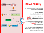 thromboplastin - myrnafoxsciencespot