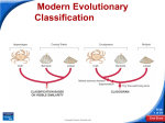 Modern Evolutionary Classification