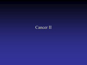 Lecture 22: Cancer II and Cell Junctions