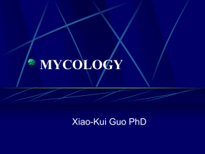 mycology