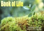 book_of_life_final - British Council Schools Online