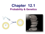 Probability and Pedigrees