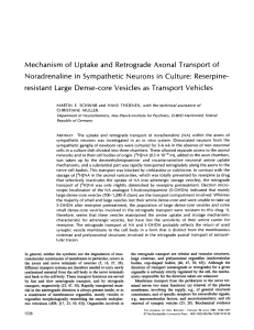 Mechanism of Uptake and Retrograde Axonal Transport of