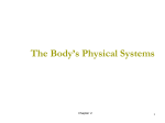 The Body`s Physical Systems