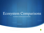 Ecosystem Comparisons