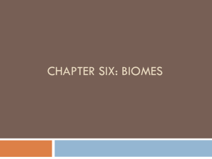 Chapter Six: BIOMES