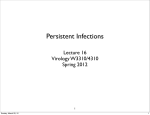 Persistent Infections