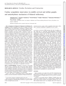 Cardiac sympathetic innervation via middle cervical and stellate