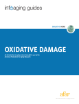 oxidative damage - American Federation for Aging Research