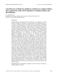 Late Pliocene to Holocene platform evolution in northern Belize, and