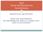 29.2 Form and Function in Invertebrates