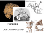 Reflexes - Sinoe Medical Association