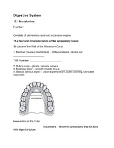 15.2 General Characteristics of the Alimentary Canal