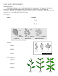 Campus Plant Handout