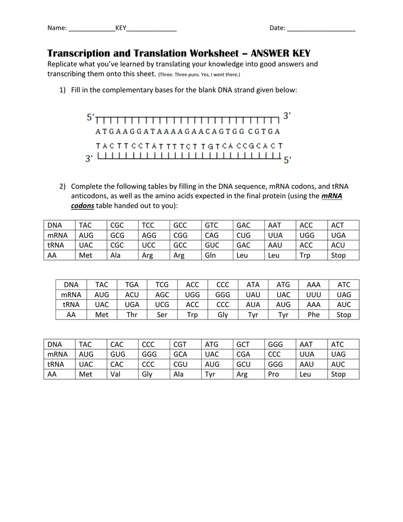 Name: Date: Transcription and Translation Worksheet – ANSWER In Transcription And Translation Worksheet