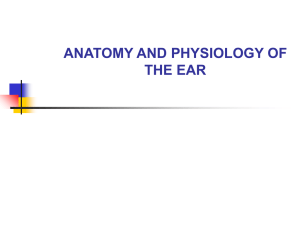Anatomy and Physiology of the Ear