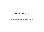 biomolecule ii - UMK CARNIVORES 3