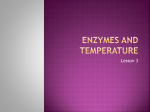 Enzymes and Temperature