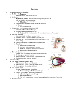 Eye Notes