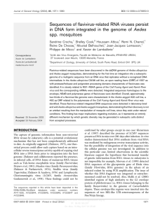 Sequences of flavivirus-related RNA viruses persist in DNA form