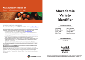 Macadamia variety identifier