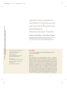 Agrobacterium tumefaciens and Plant Cell Interactions and Activities