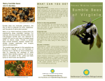 Bumble Bees of Virginia - Virginia Working Landscapes