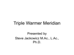Triple Warmer Meridian