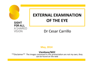 EXTERNAL EXAMINATION OF THE EYE