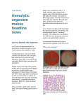 Case Study: Hemolytic Listeria Makes Headlines News