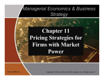 Chapter 11 Pricing Strategies for Firms with Market Power