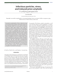 Infectious particles, stress, and induced prion amyloids