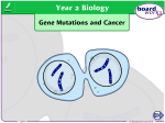 Gene Mutations and Cancer Part 2