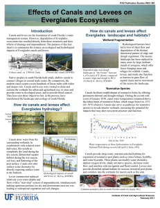Effects of Canals and Levees on Everglades Ecosystems