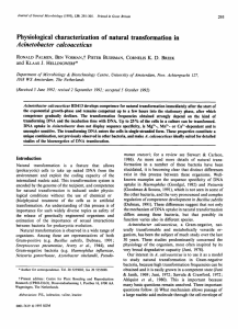 Physiological characterization of natural transformation in