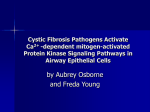 Cystic Fibrosis Pathogens Activate Ca2+
