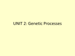 UNIT 2: Genetic Processes
