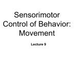 Control of Movement