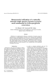 Metacercarial utilization of a naturally infected