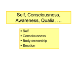 Consciousness and Awareness