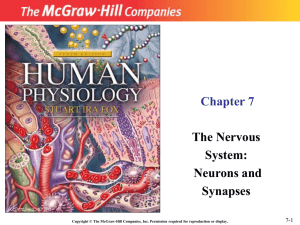 Human Physiology