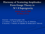 Harmony of Scattering Amplitudes: From gauge theory