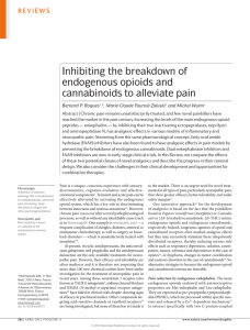 Inhibiting the breakdown of endogenous opioids and