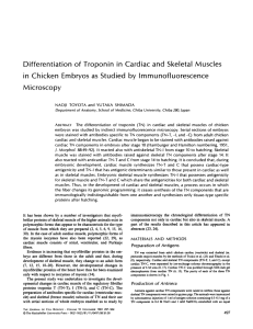 Differentiation of Troponin in Cardiac and Skeletal Muscles in