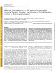 Molecular Characterization of the Melanin