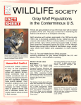 Gray Wolf Populations in the Conterminous U.S.